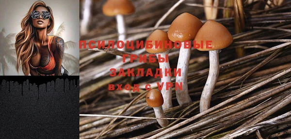 ECSTASY Дмитров