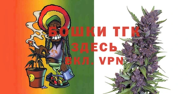 дурь Дмитриев